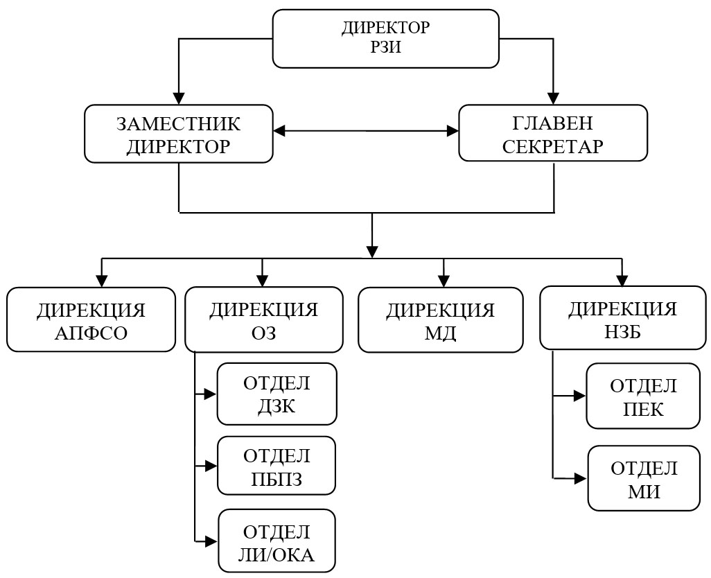 Организационна структура